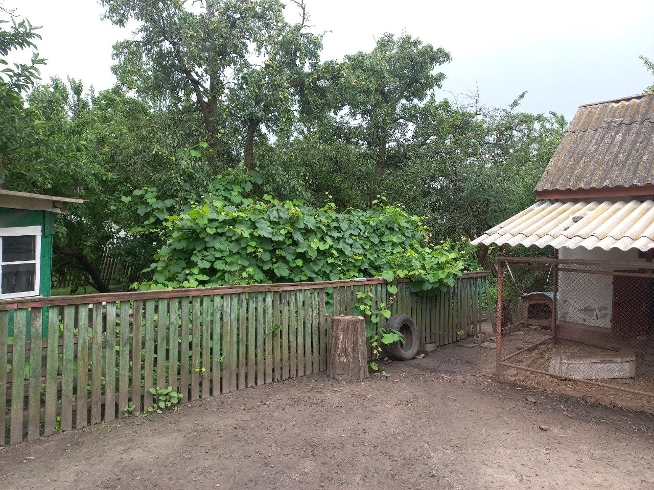 Продажа дома 12400 м²