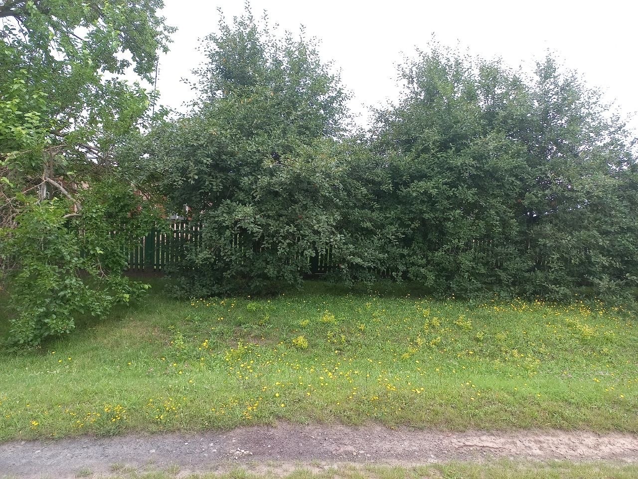 Продажа дома 12400 м²