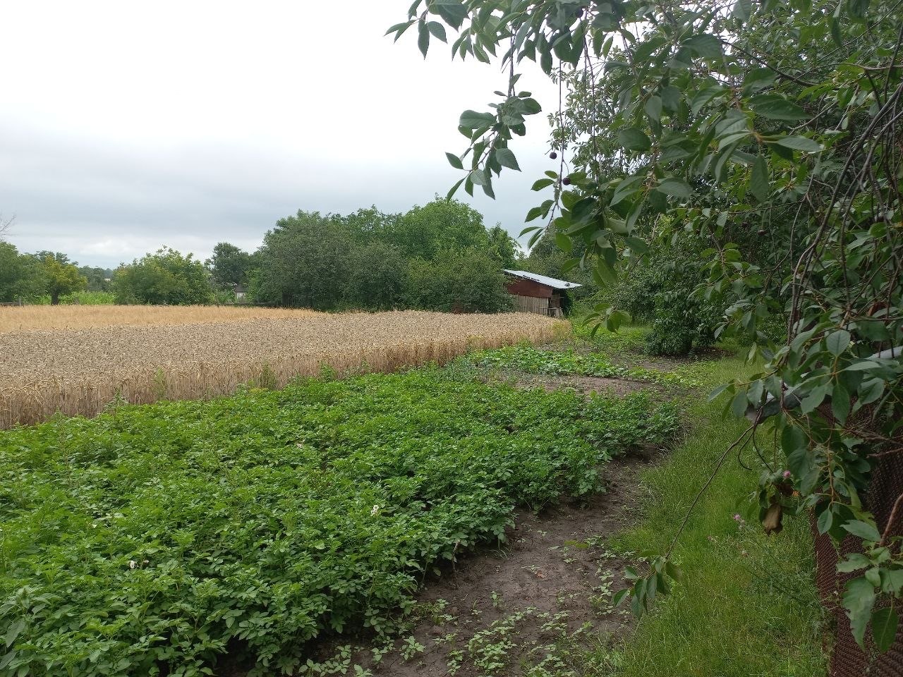 Продажа дома 12400 м²