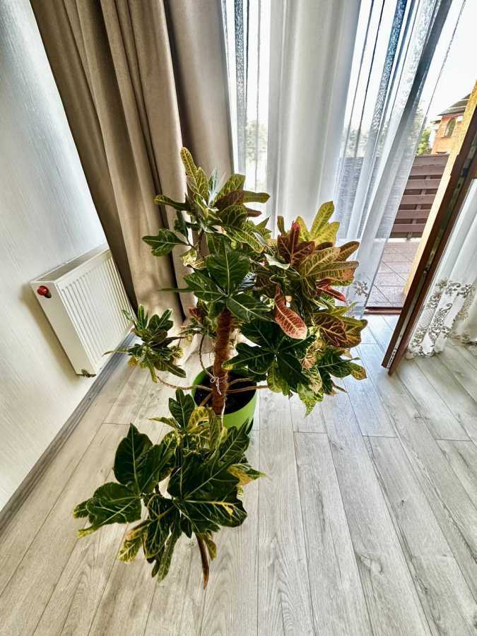 Продажа дома 147 м², Центрально-садова, 50А