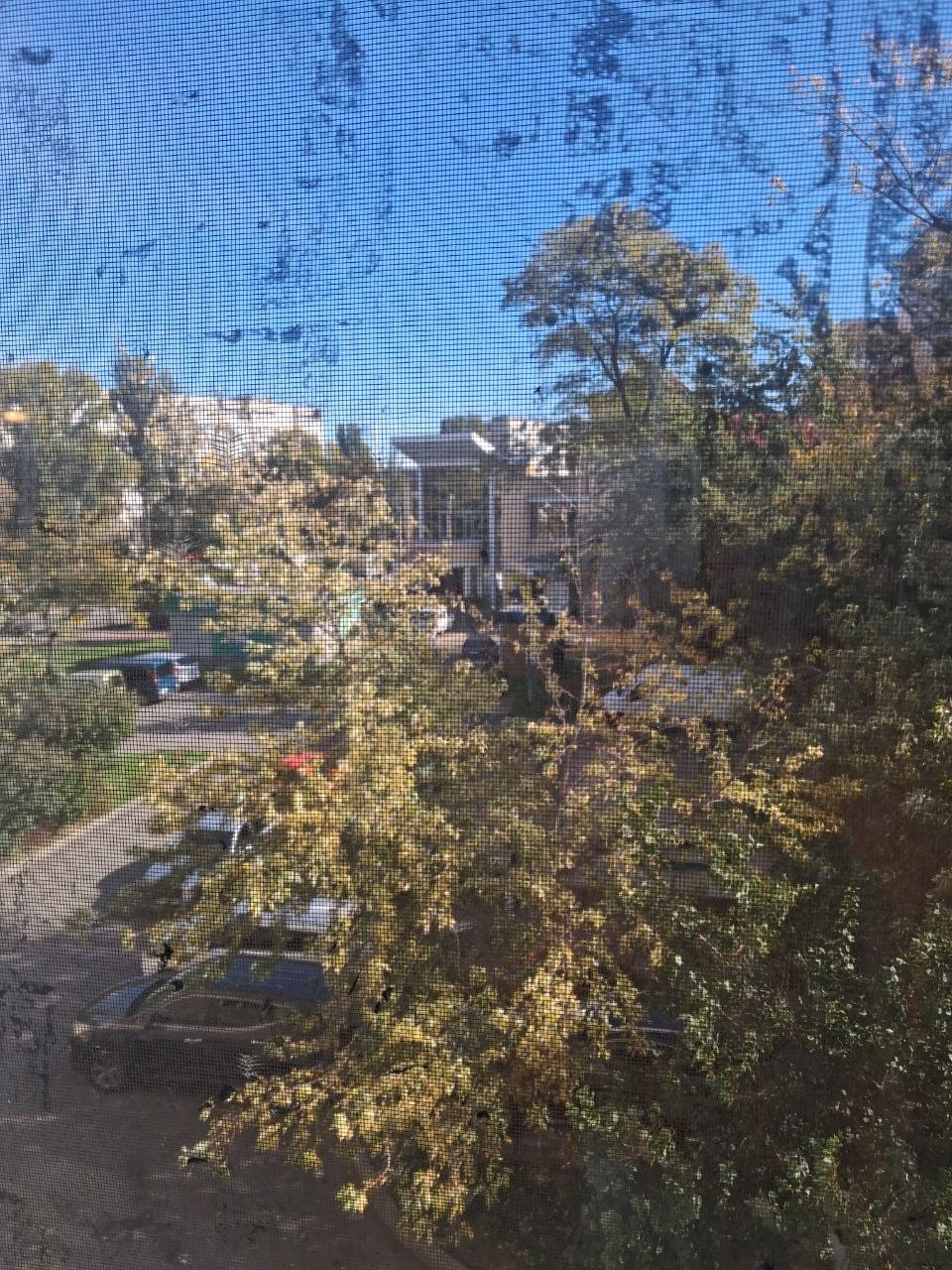 Аренда 2-комнатной квартиры 56 м², Вышгородская ул., 26/2