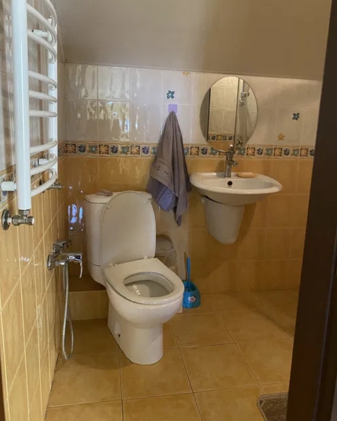 Аренда дома 110 м², Фонтанская дор.