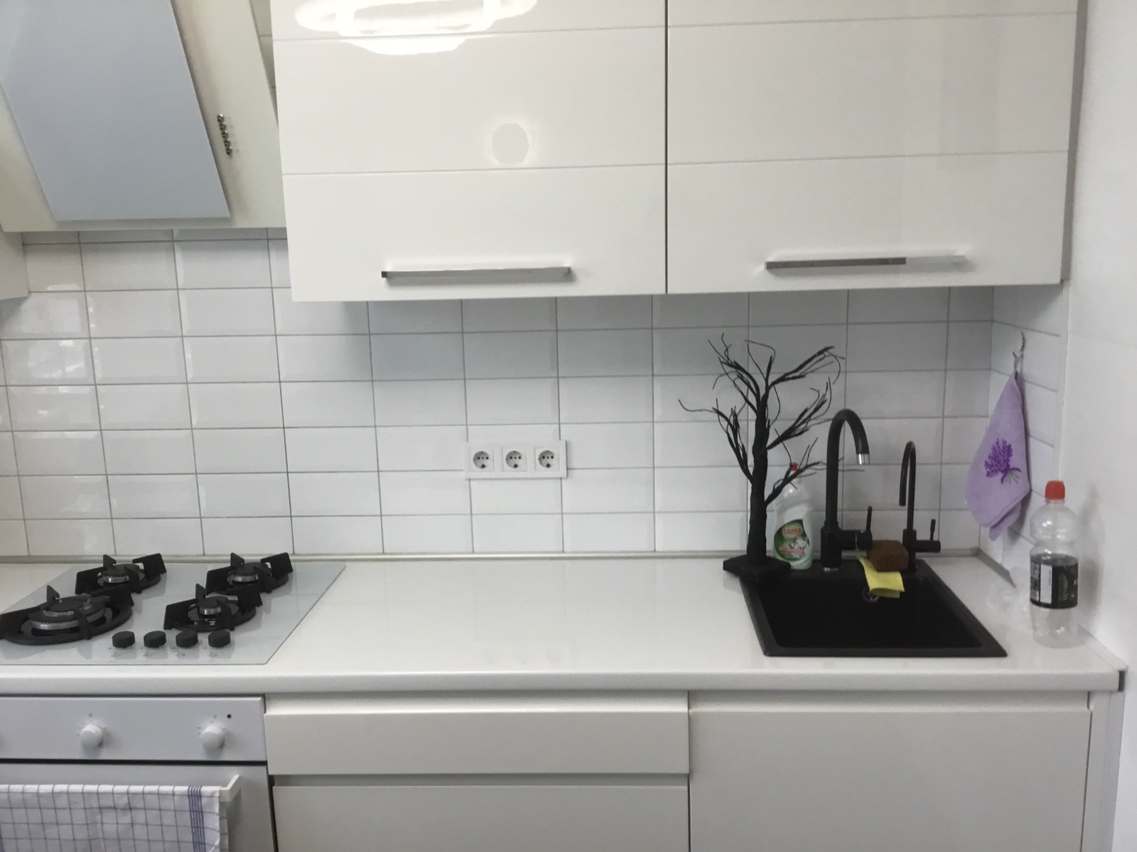 Аренда 2-комнатной квартиры 48 м², Ярослава Гашека бул., 16