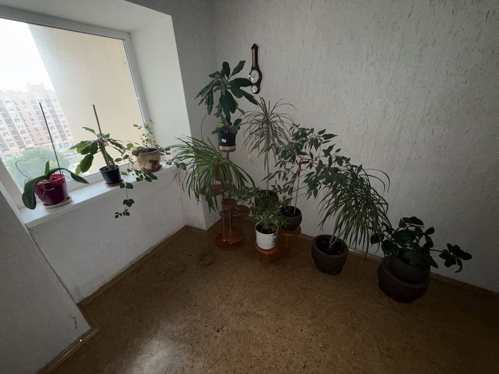 Аренда 2-комнатной квартиры 60 м², Мира просп., 3