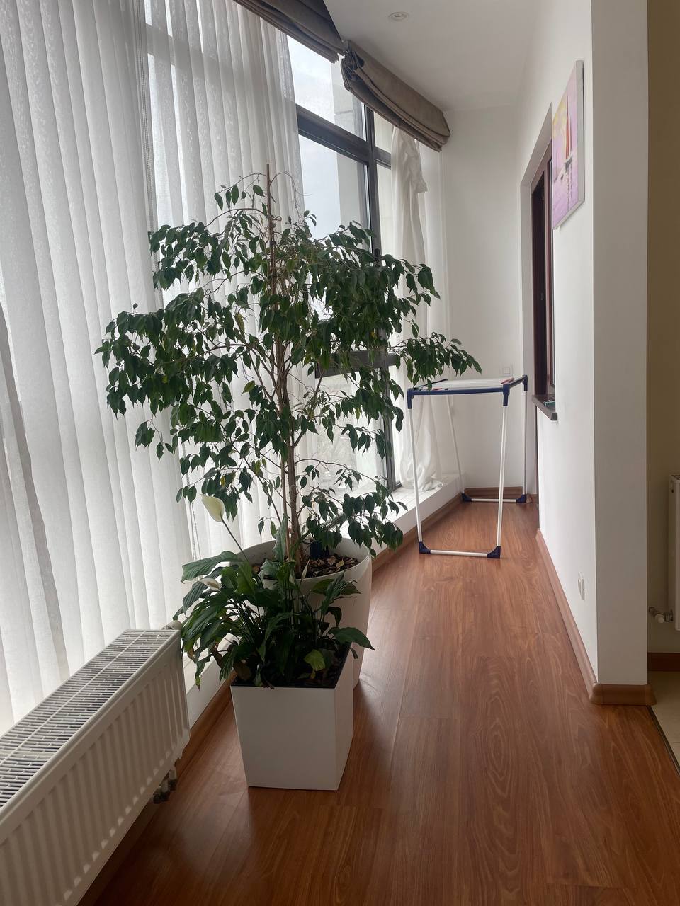 Аренда 2-комнатной квартиры 120 м², Тенистая ул., 30