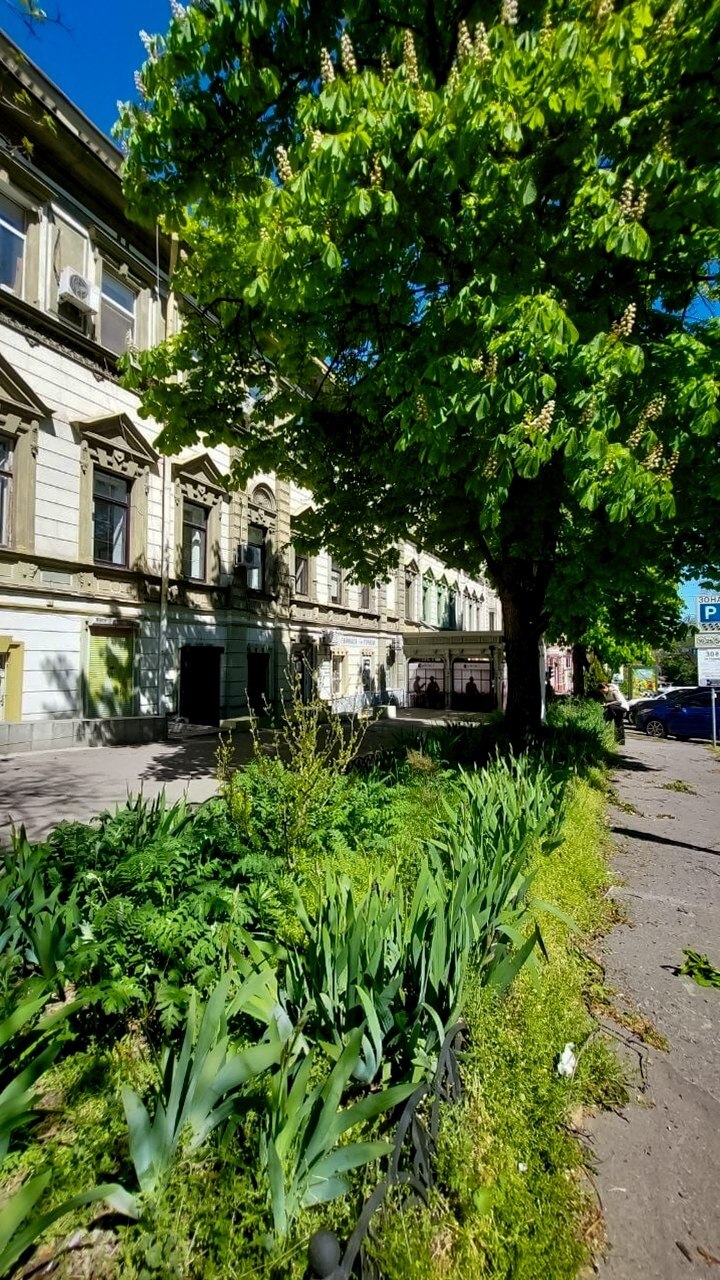 Аренда офиса 100 м², Пушкинская ул., 12