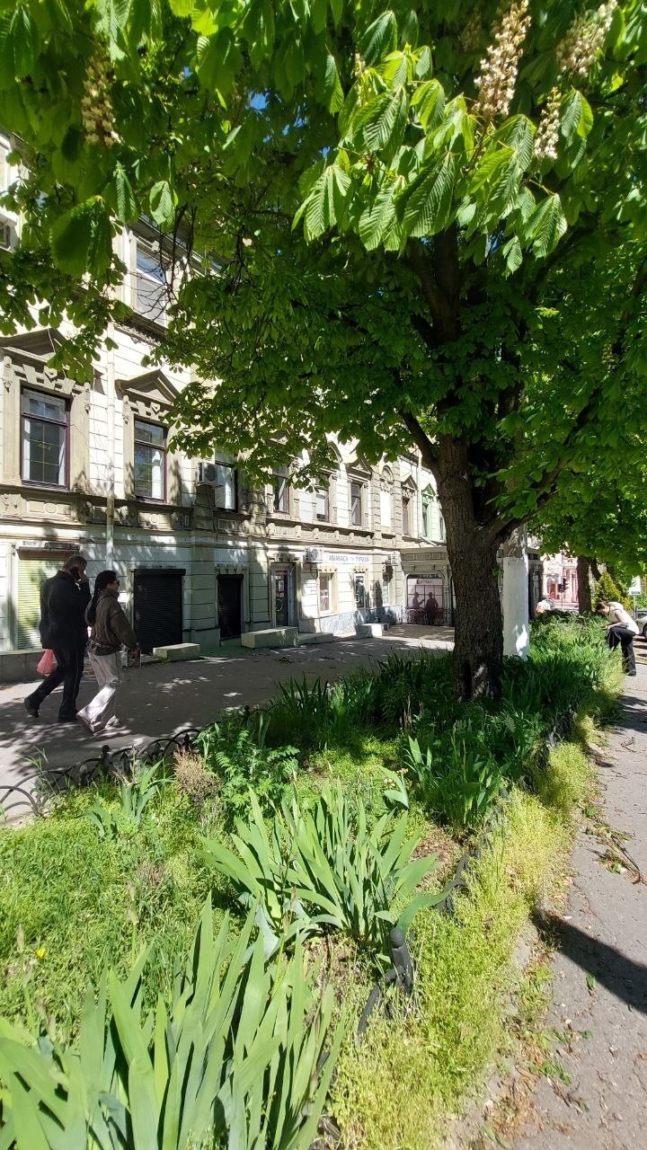 Аренда офиса 100 м², Пушкинская ул., 12