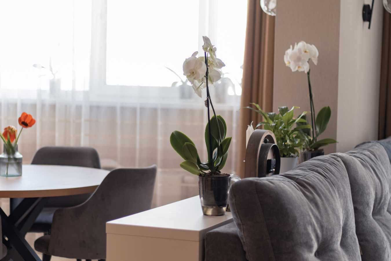 Продаж 3-кімнатної квартири 86 м²