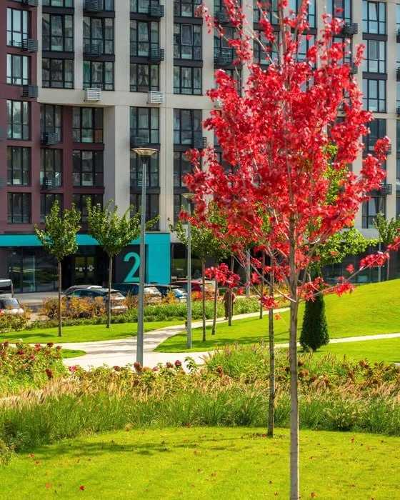 Аренда 1-комнатной квартиры 45 м², Виктора Забилы ул., Некрасова, 12А