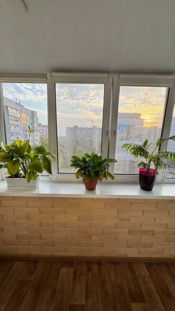 Продажа 3-комнатной квартиры 66.4 м², Максима Железняка ул., 29/5