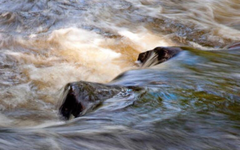 Почему в море вода соленая, а в реке — пресная