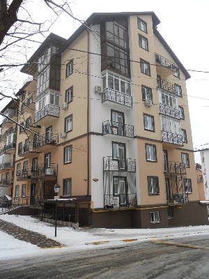 Бучанский район, г. Ирпень, Толстого ул., 50