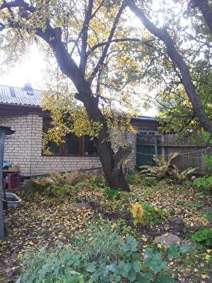Киев, Федосеева ул., 16