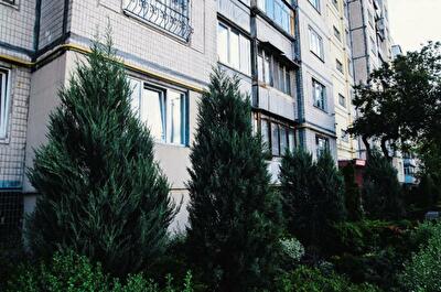 Вышгородская ул., 32/2