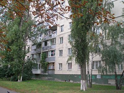 Академика Курчатова ул., 11