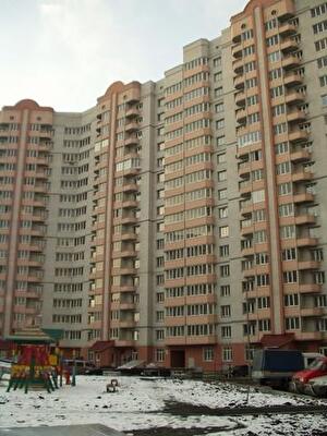 Анны Ахматовой ул., 33
