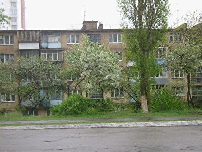Вышгородский район, г. Вышгород, Василия Симоненко ул., 10