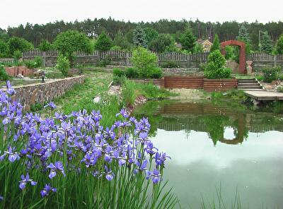 Бучанський район, смт Гостомель, Дачна вул., 3