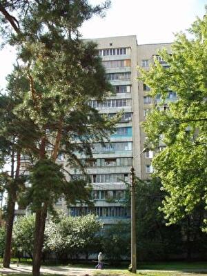 Бориспільська вул., 32А