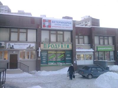 Академіка Заболотного вул., 20А