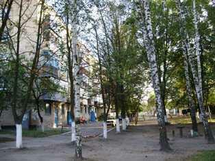 Васильковский район, пгт Калиновка, Ленина ул., 82