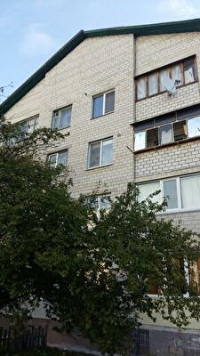 Бориспольский район, с. Счастливое, Фестивальная ул., 28