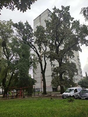 Чистяківська вул., 15