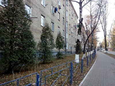 Ломоносова ул., 53