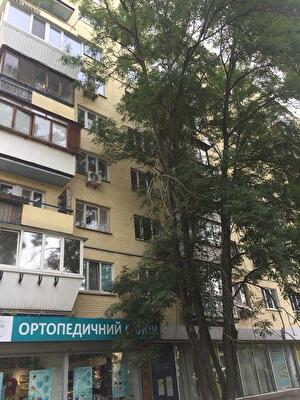 Леси Украинки бул., 24Б