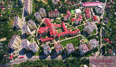 Життя і традиції мешканців ЖК /Чайка\