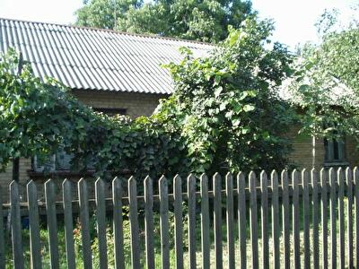 Яна Райниса ул., 4