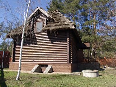 Новомосковский район, с. Орловщина, Дачная ул., 79А