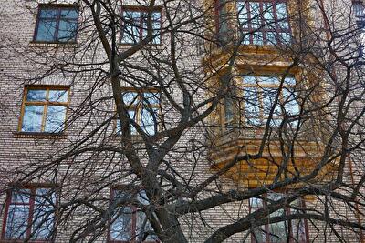 Богомольця Академіка вул., 6