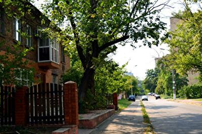 Ветряные Горы ул., 10