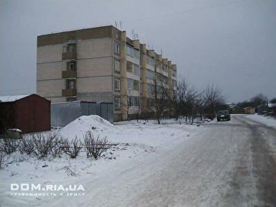 Вышгородский район, пгт Дымер, Степана Разина ул., 1