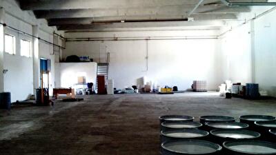 Києво-Святошинський район, с. Михайлівка-Рубежівка, Школьная вул., 15