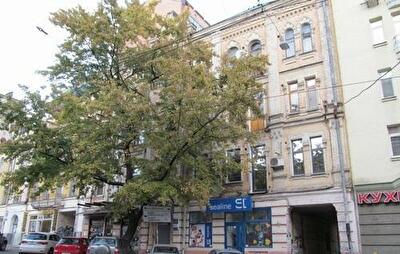 Дмитрівська вул., 58