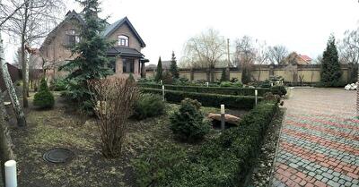 Бориспольский район, с. Петропавловское, Бориспольская ул., 38