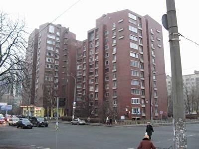 Володимира Антоновича вул., 166