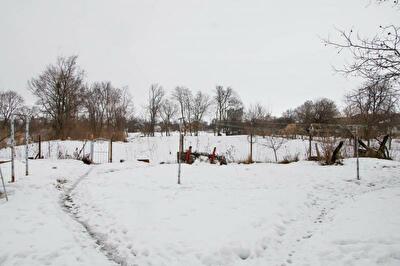 Яготинский район, г. Яготин, Колхозная ул., 25