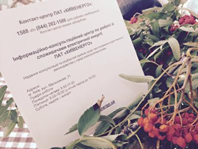 Сколько украинцы заплатят за свет по показаниям трехзонных счетчиков в мае 2017 года: таблица