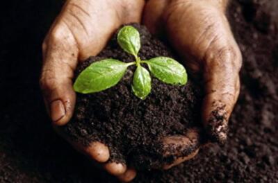 В Украине придумали новые схемы продажи земли