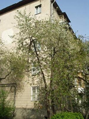 Мартиросяна ул., 26