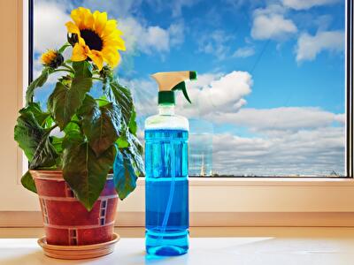 Чистый четверг: как правильно помыть окна в квартире