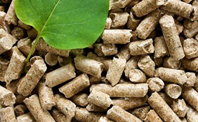 Самі собі монополія. Як кооператив на Тернопільщині опалює домівки "малиною"