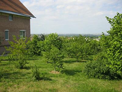 Харківський район, смт Бабаї, Молодежная вул., 7