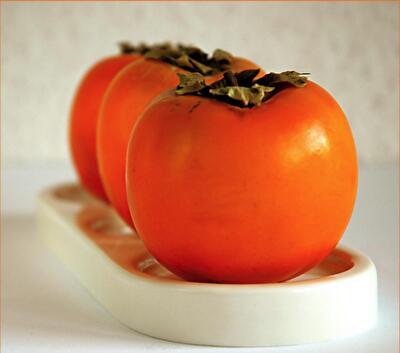 Как вырастить хурму из косточки: пошаговая инструкция