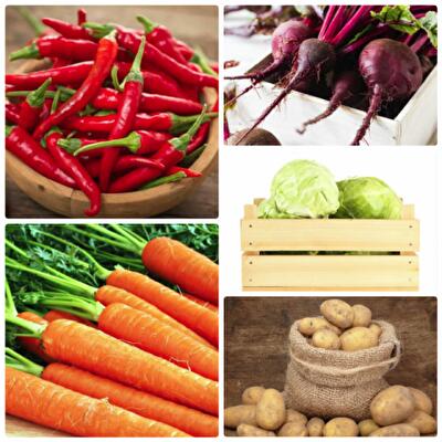 Как правильно хранить овощи зимой в квартире