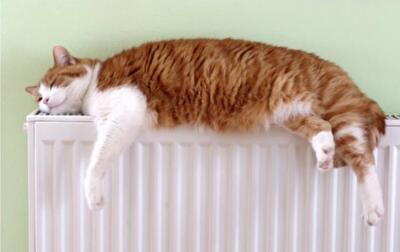 Битва синоптиков: кто влияет на подготовку к отопительному сезону в Украине