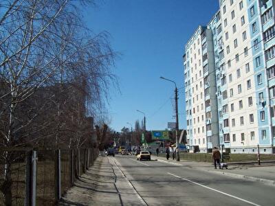 Бучанский район, г. Ирпень, Грибоедова ул., 26